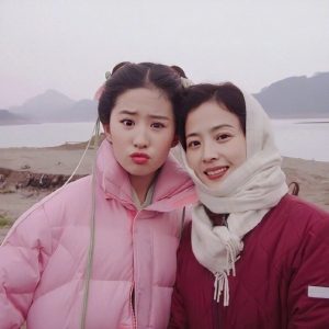刘亦菲