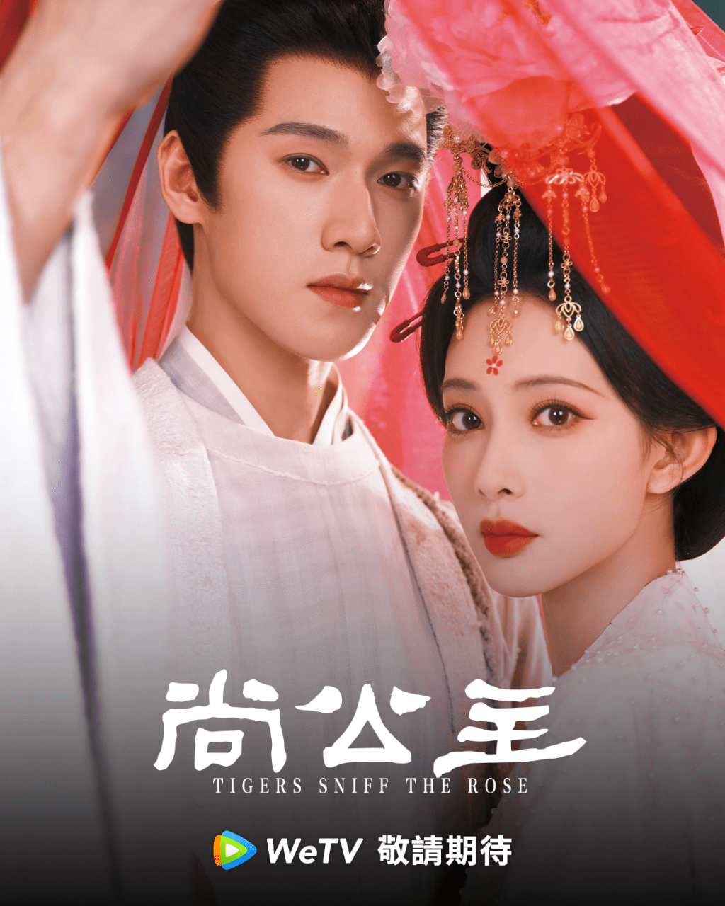 《尚公主》由孟子义、李昀锐领衔主演。
