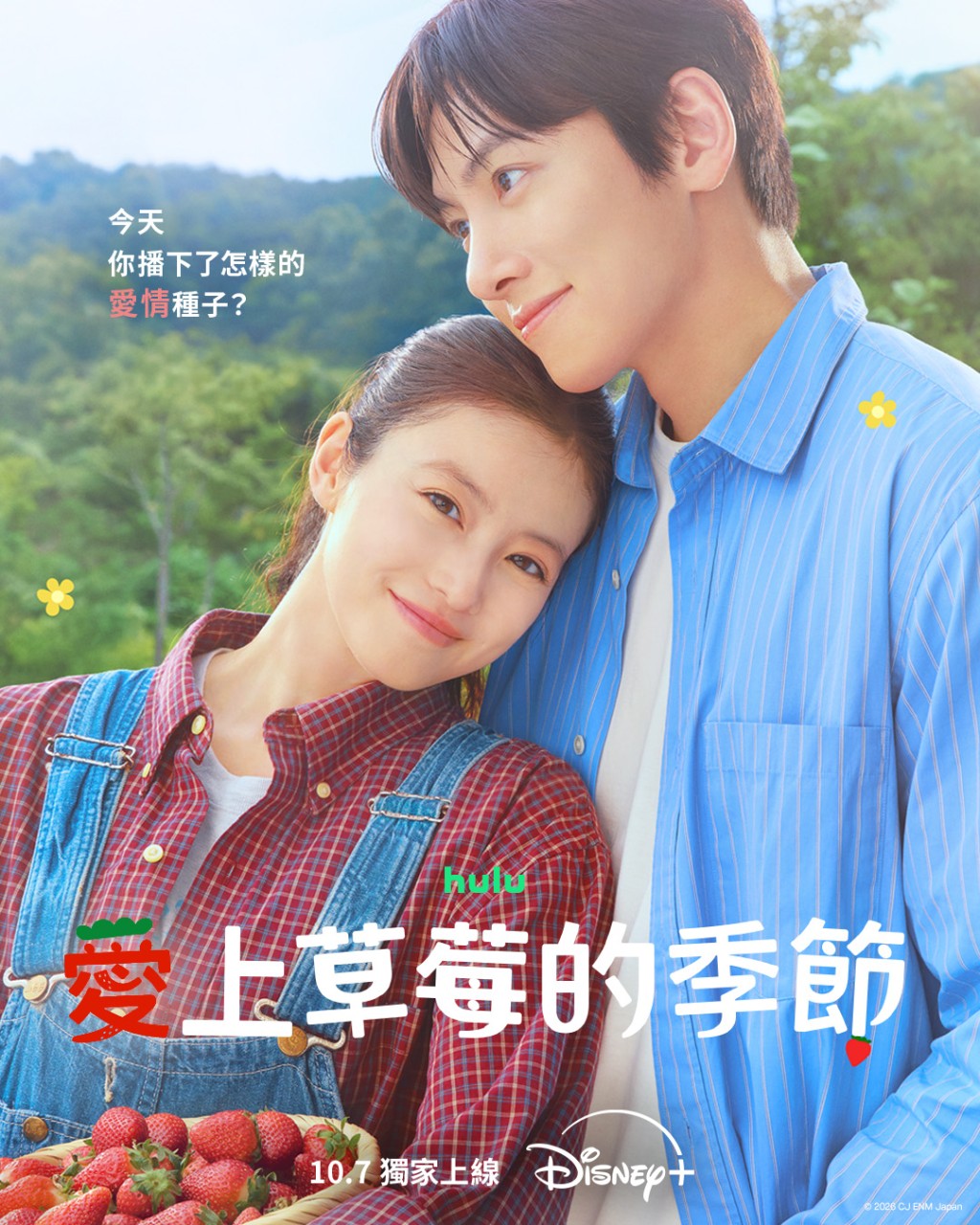 池昌旭与今田美樱领衔主演《爱上草莓的季节》。