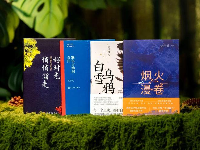 45岁宋佳二封金鹰奖视后!她到底读了多少书,才摆脱15年黑历史,逆袭成大女主