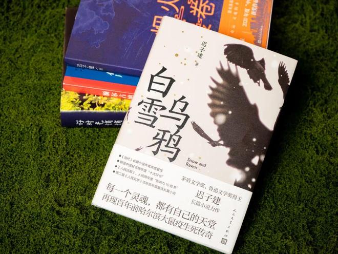 45岁宋佳二封金鹰奖视后!她到底读了多少书,才摆脱15年黑历史,逆袭成大女主