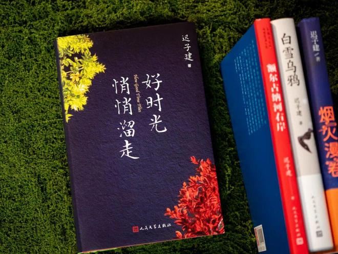 45岁宋佳二封金鹰奖视后!她到底读了多少书,才摆脱15年黑历史,逆袭成大女主
