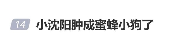 小沈阳公演当天一觉醒来眼睛浮肿：“给大家报备一下，一觉醒来眼睛肿成蜜蜂小狗了”_中国娱乐网_内地香港澳门台湾电影电视歌曲娱乐明星新闻