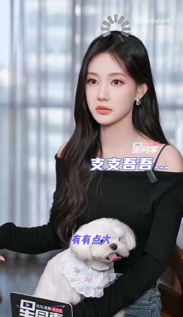 演员李一桐自曝被骗过钱也被骗过感情:数额有点大,六七位数