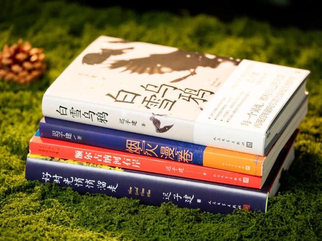 45岁宋佳二封金鹰奖视后!她到底读了多少书,才摆脱15年黑历史,逆袭成大女主