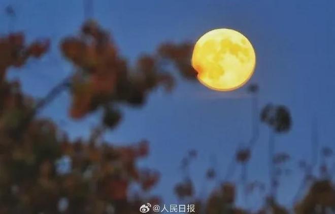 45岁宋佳二封金鹰奖视后!她到底读了多少书,才摆脱15年黑历史,逆袭成大女主