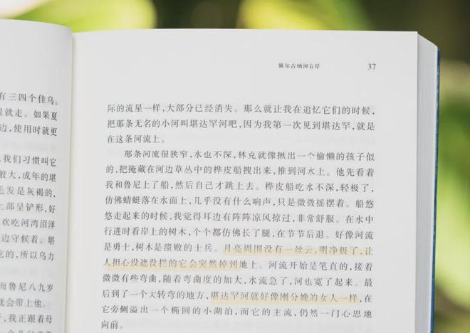 45岁宋佳二封金鹰奖视后!她到底读了多少书,才摆脱15年黑历史,逆袭成大女主