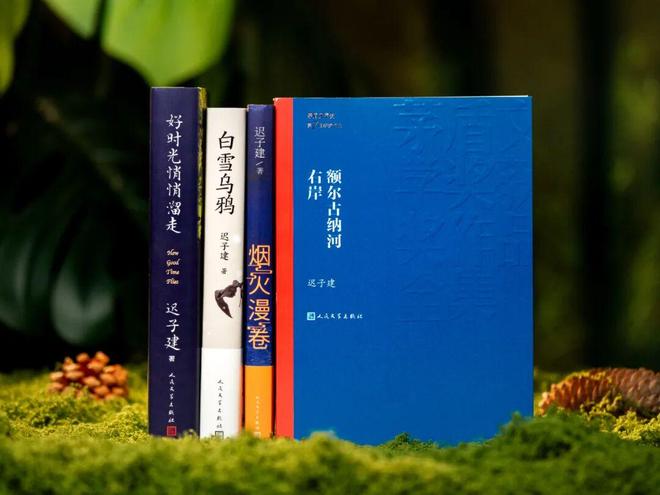 45岁宋佳二封金鹰奖视后!她到底读了多少书,才摆脱15年黑历史,逆袭成大女主