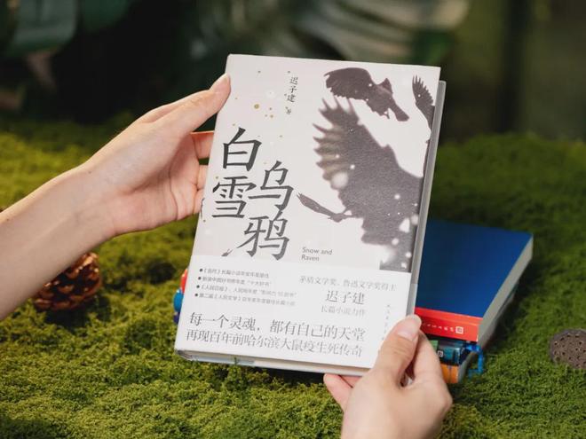 45岁宋佳二封金鹰奖视后!她到底读了多少书,才摆脱15年黑历史,逆袭成大女主