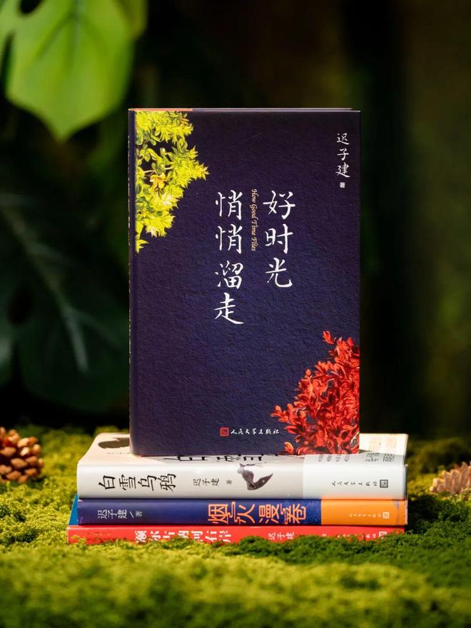 45岁宋佳二封金鹰奖视后!她到底读了多少书,才摆脱15年黑历史,逆袭成大女主